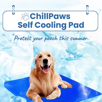 I Wish I Had This Dog Cooling Mat During Darwin's Brutal Summer (My Labradors Suffered)