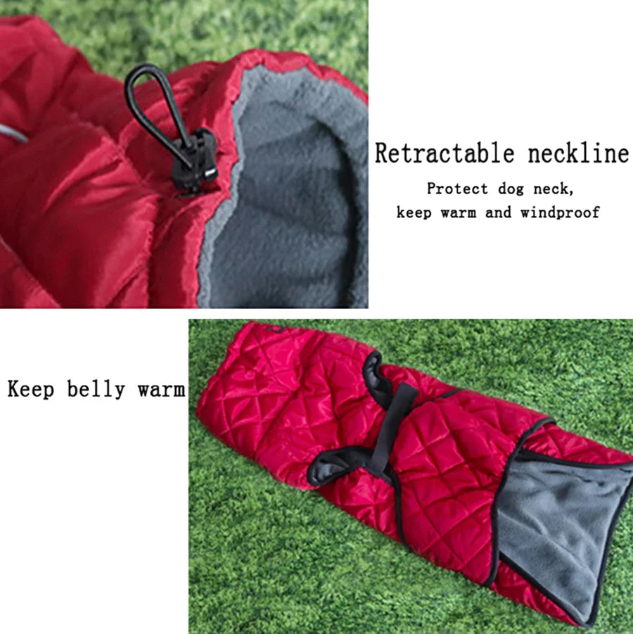 Adventure-Ready Waterproof Lined Dog Coat