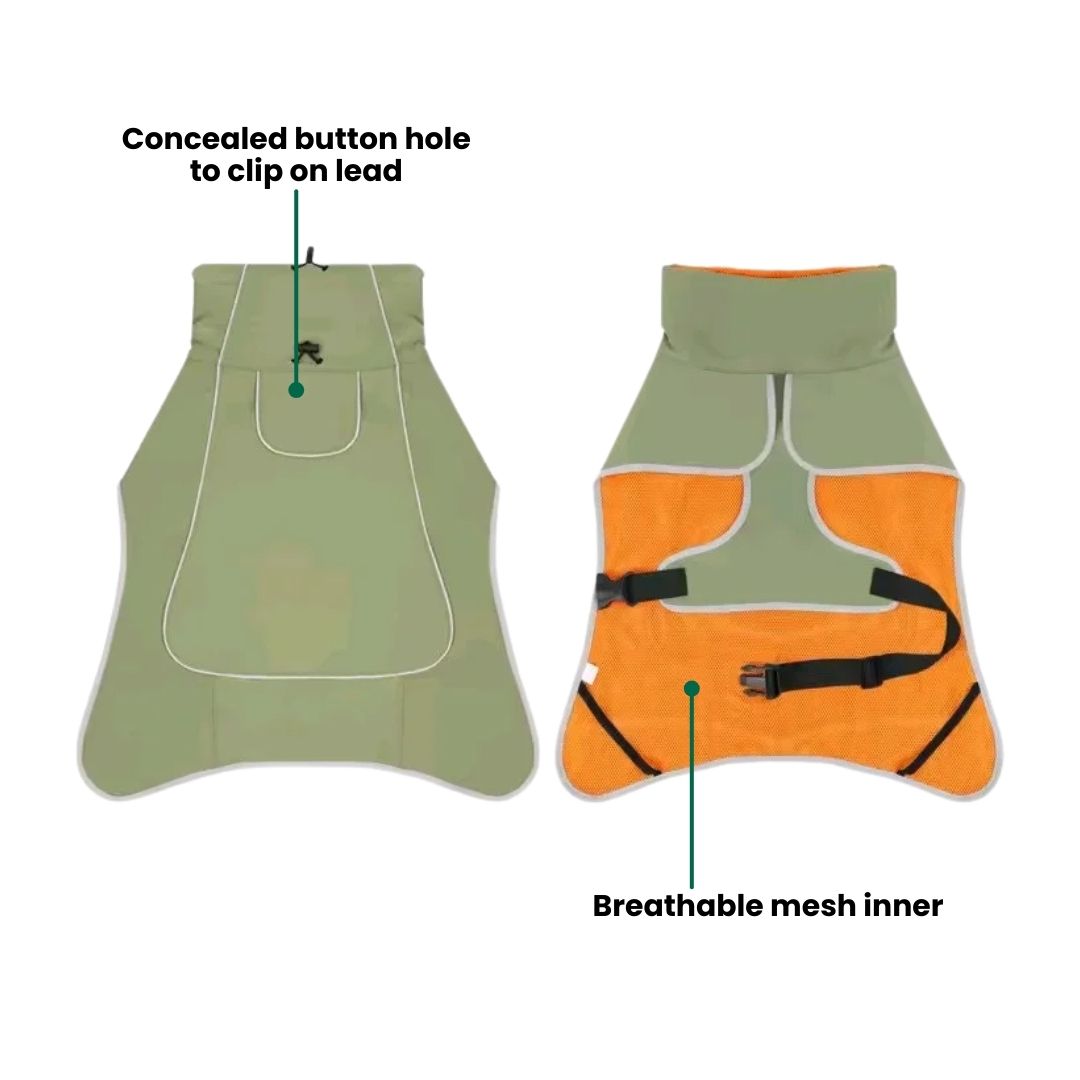 Rugged Outdoor Dog Raincoat