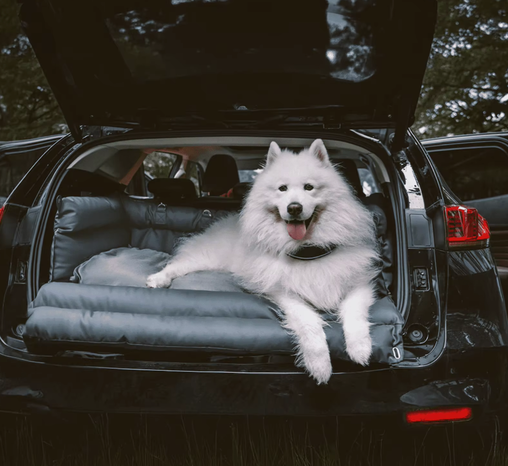 Ultimate Comfort Dog Car Bed and Car Seat Booster