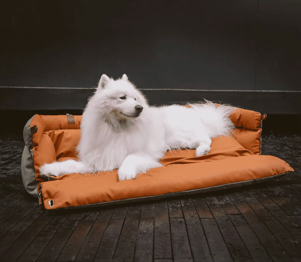 Ultimate Comfort Dog Car Bed and Car Seat Booster