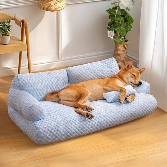 3 Best Types of Cooling Dog Beds for Australian Summers (Real Comparison)