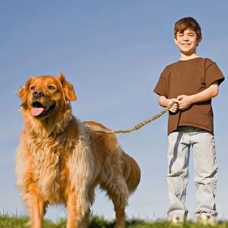Shock Absorbing Reflective Dog Lead with Built in Car Seatbelt