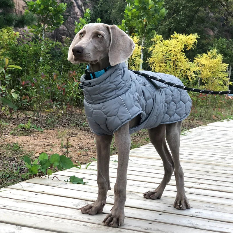 Turtleneck Water Resistant Dog Coat 