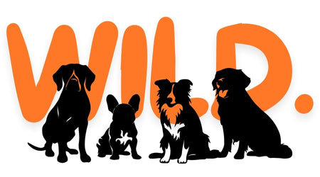 PackWild Dogs