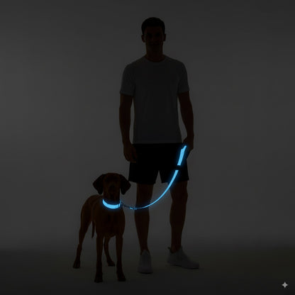 Reflective Dog Lead – Durable, Comfortable & Safe for Night Walks