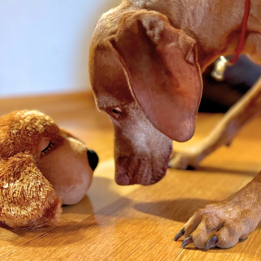 The HeartBeat Buddy - The Perfect Dog Calming Toy to End Your Pup's Anxiety