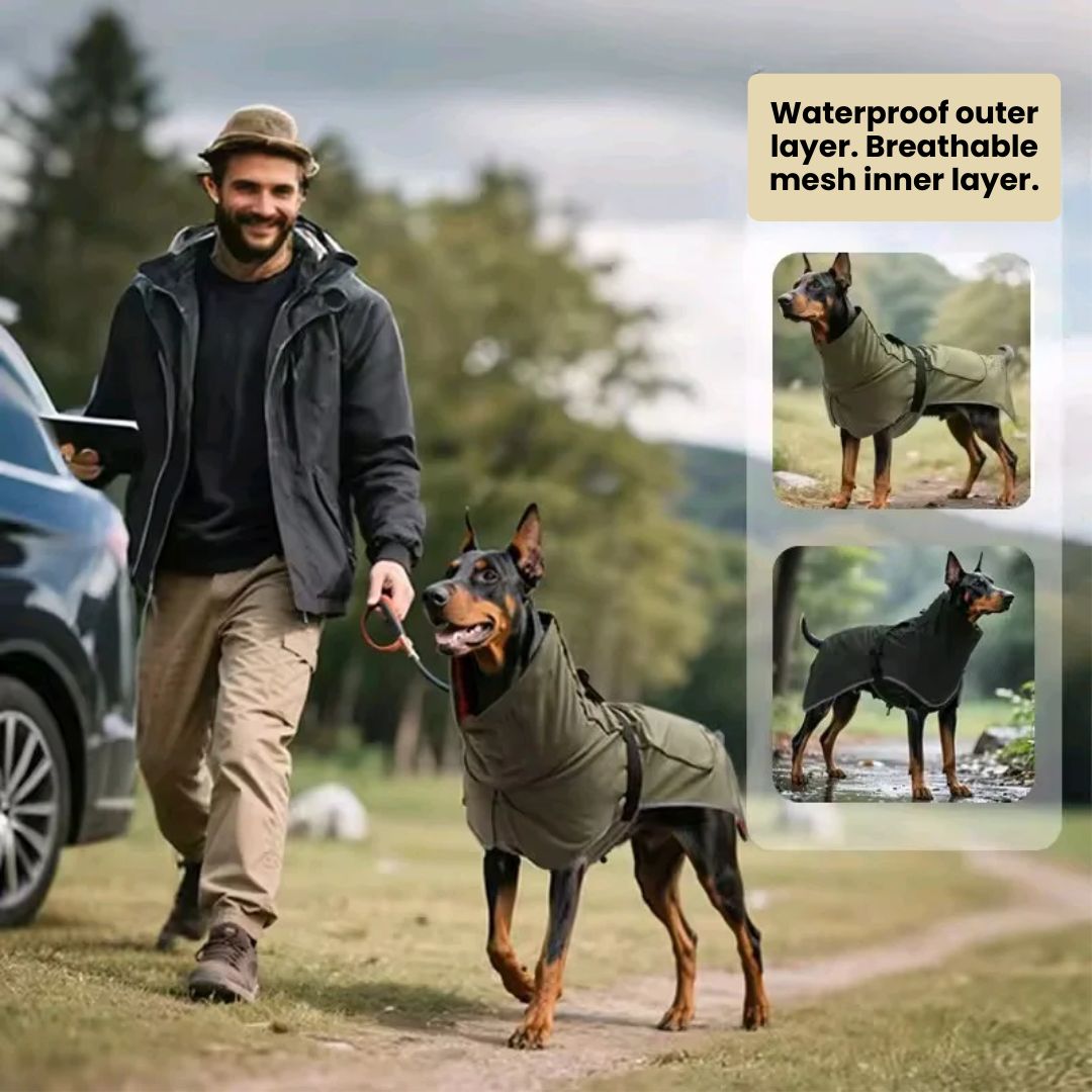 Rugged Outdoor Dog Raincoat 