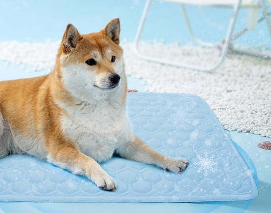 Ice Silk Dog Cooling Mat ❄️