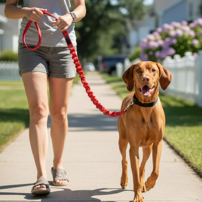 Shock Absorbing Reflective Dog Lead with Built in Car Seatbelt