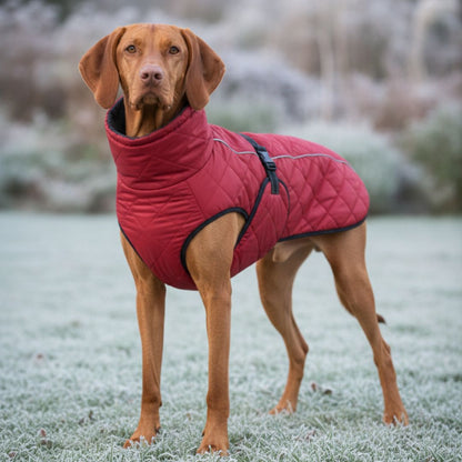 Adventure-Ready Waterproof Lined Dog Coat