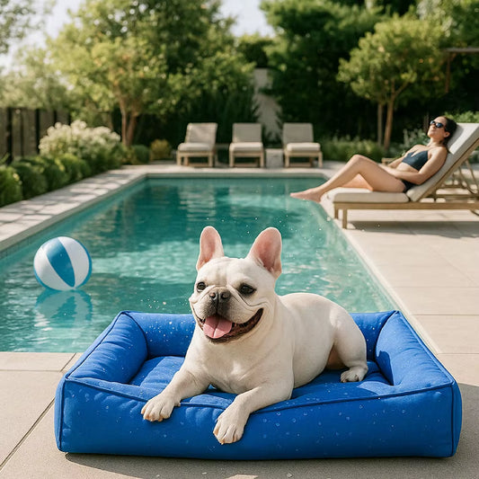 Waterproof Memory Foam Dog Bed for the Australian Outdoors