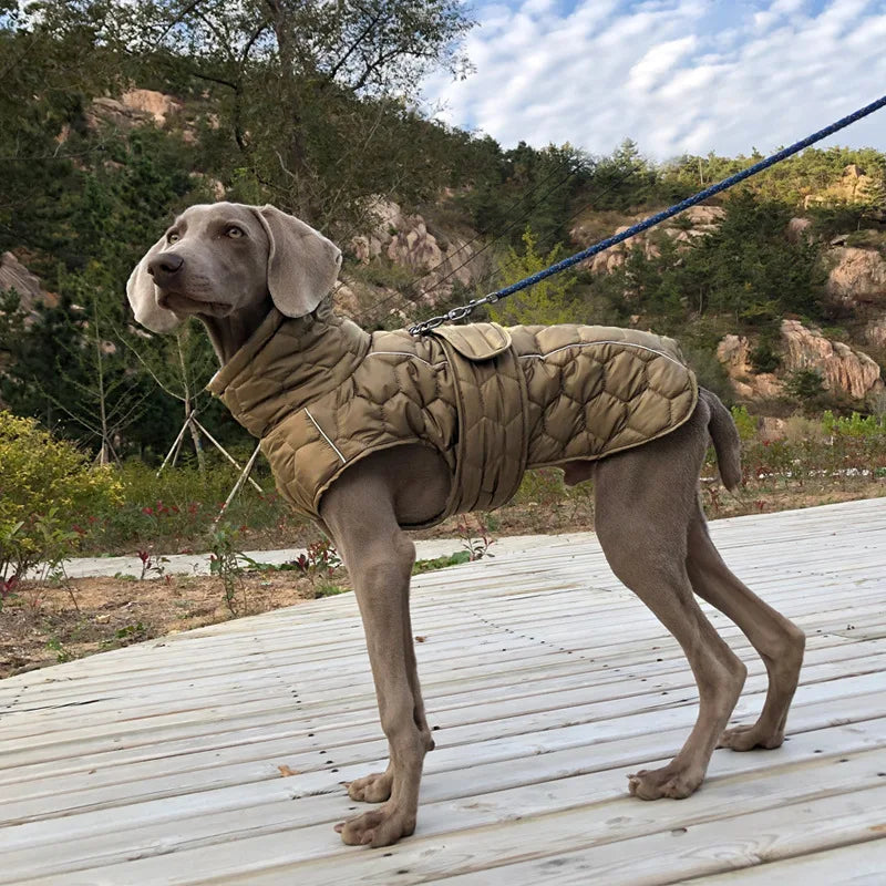 Turtleneck Water Resistant Dog Coat 