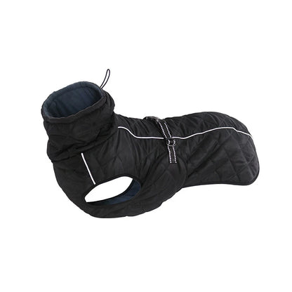 Adventure-Ready Waterproof Lined Dog Coat