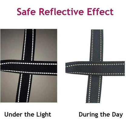Reflective Dog Lead – Durable, Comfortable & Safe for Night Walks