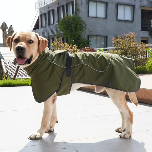 Light Fleece Lined Dog Raincoat 
