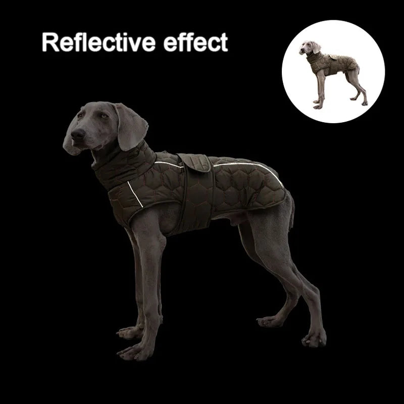 Turtleneck Water Resistant Dog Coat 