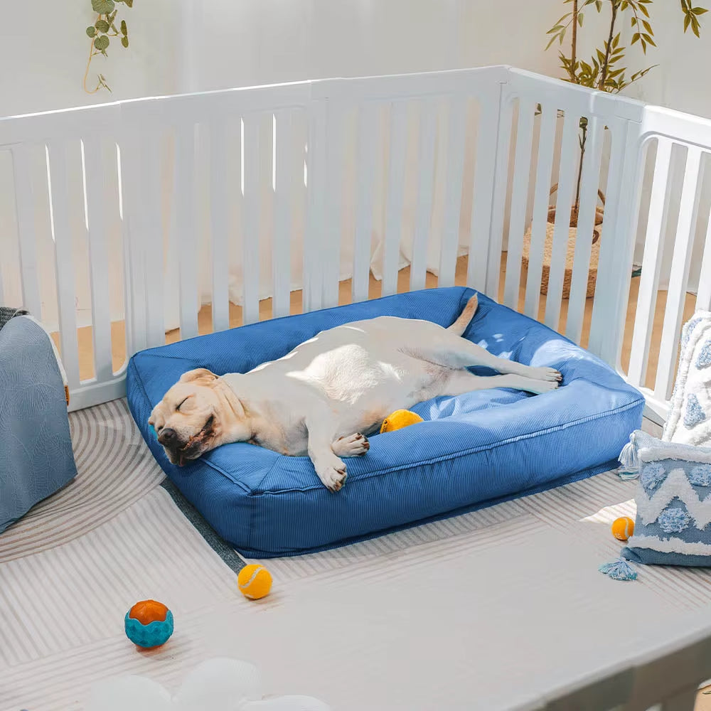 Waterproof Memory Foam Dog Bed for the Australian Outdoors