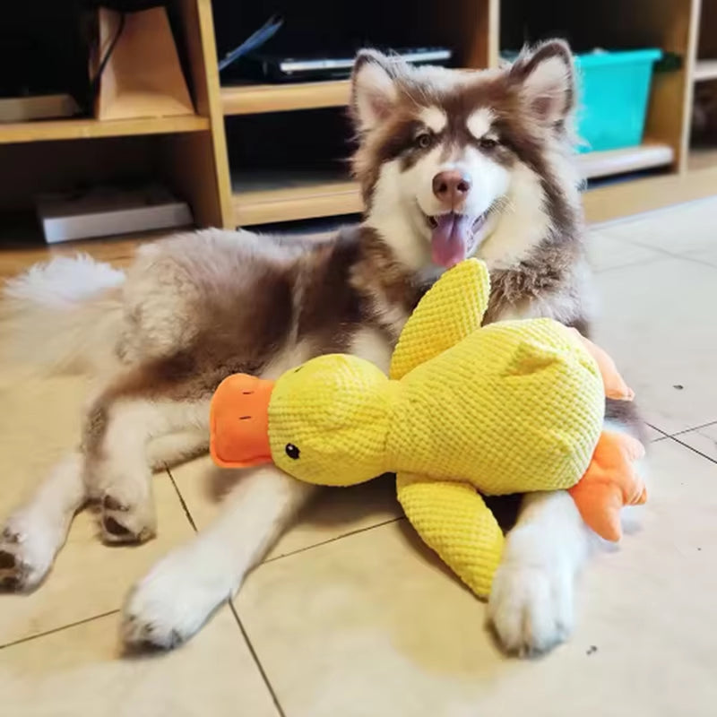Calming Duck Dog Toy that Quacks