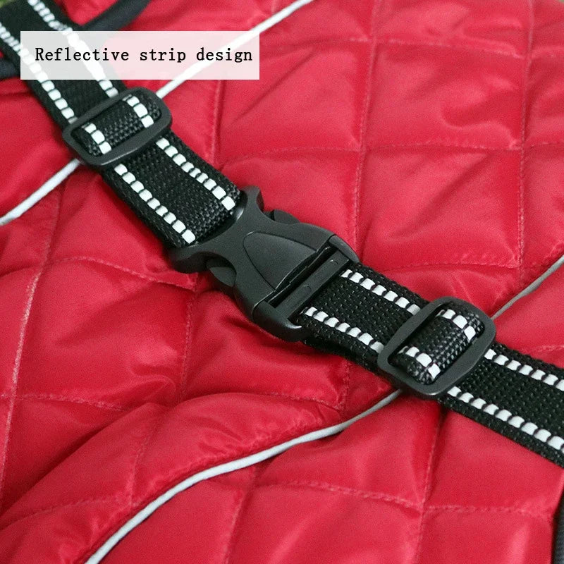 Adventure-Ready Waterproof Lined Dog Coat