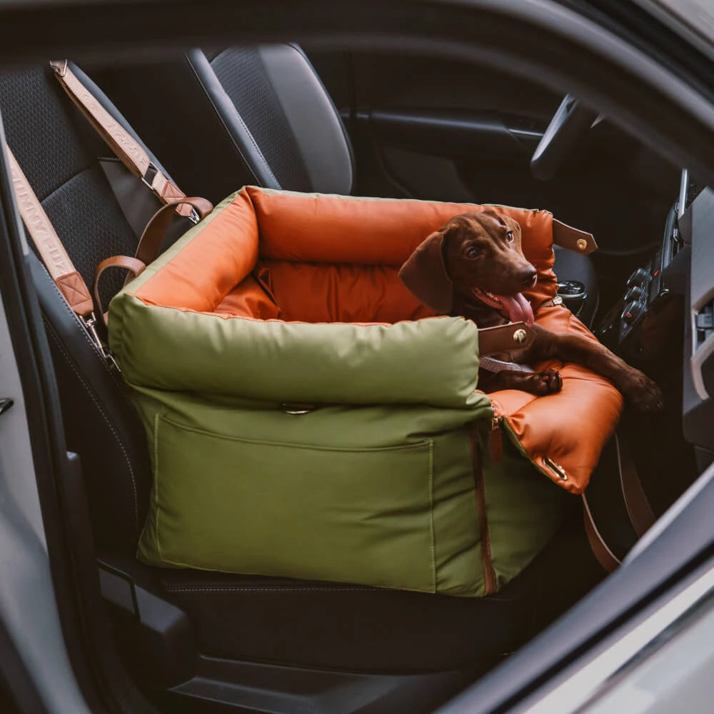 Premium Puppy and Small Dog Car Booster Seat 