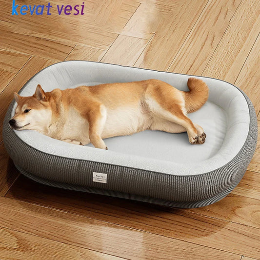 Cute & Affordable Dog Bed with Memory Foam Support - Small to Medium Dogs