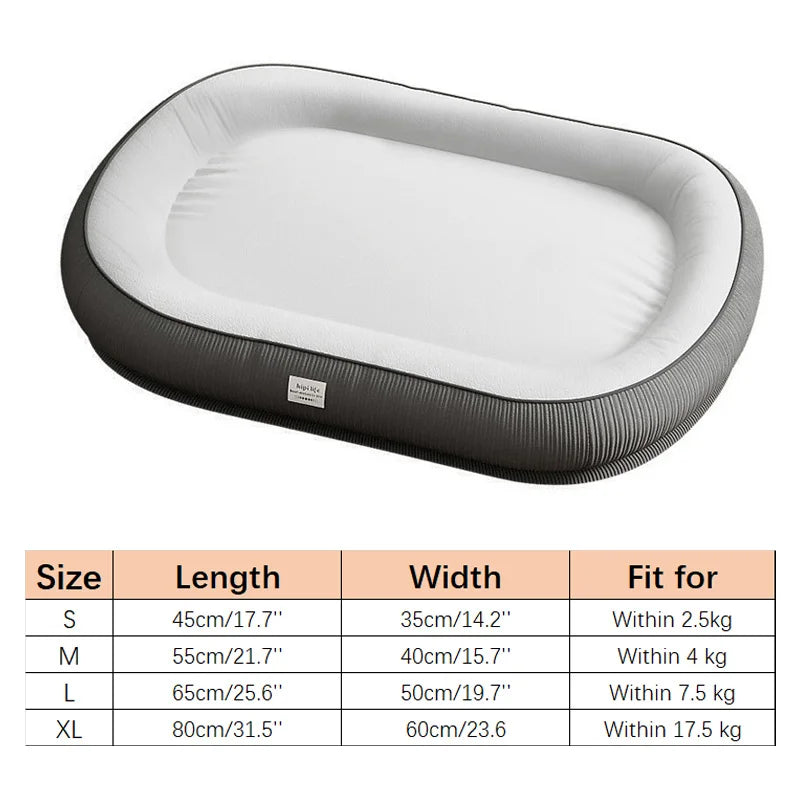 Cute & Affordable Dog Bed with Memory Foam Support - Small to Medium Dogs
