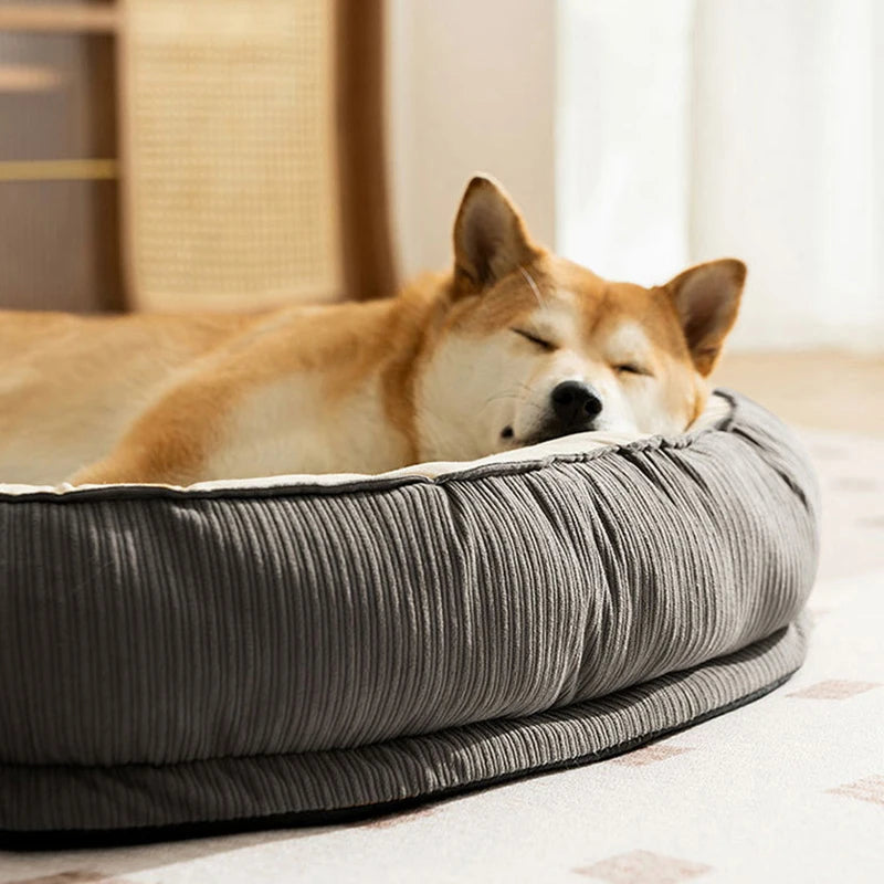 Cute & Affordable Dog Bed with Memory Foam Support - Small to Medium Dogs