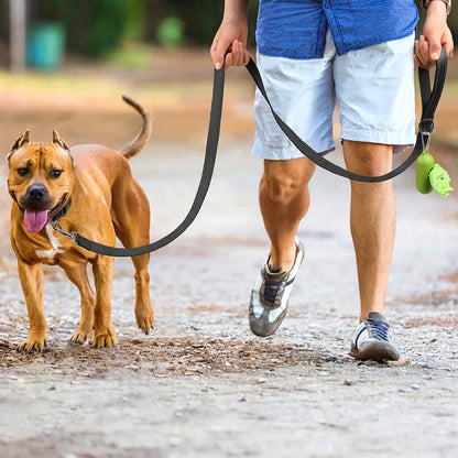Reflective Dog Lead – Durable, Comfortable & Safe for Night Walks