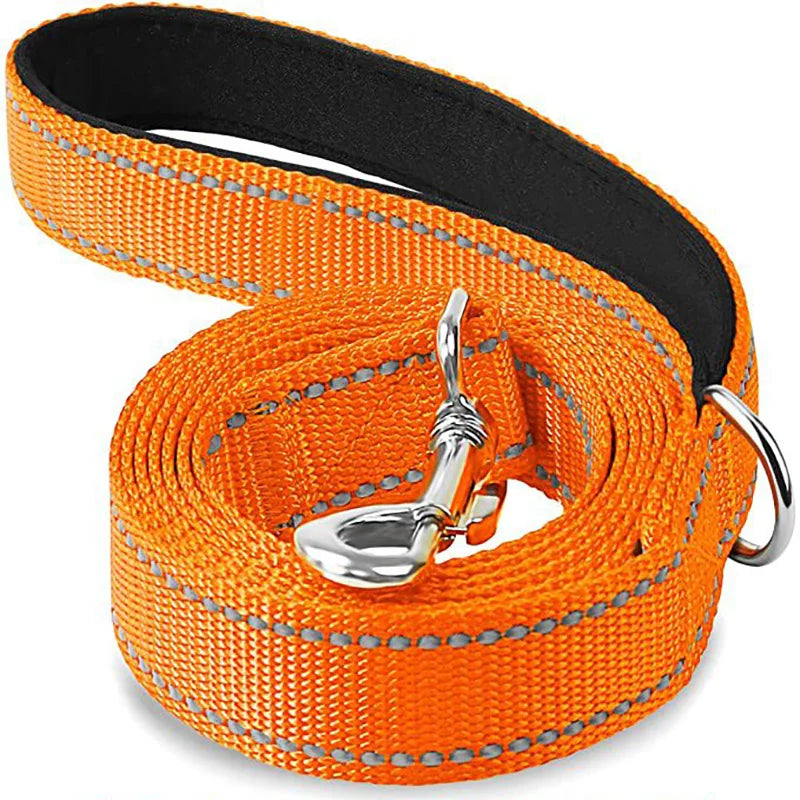 Reflective Dog Lead – Durable, Comfortable & Safe for Night Walks