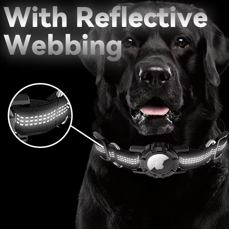 Reflective Dog Collar with Built-In Case for Airtag / GPS tracker