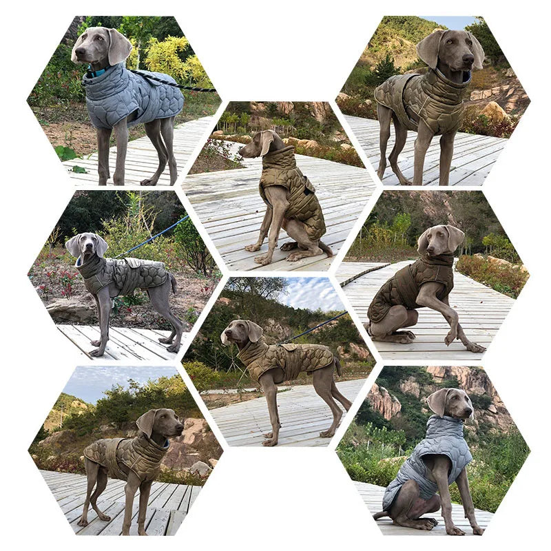 Turtleneck Water Resistant Dog Coat 