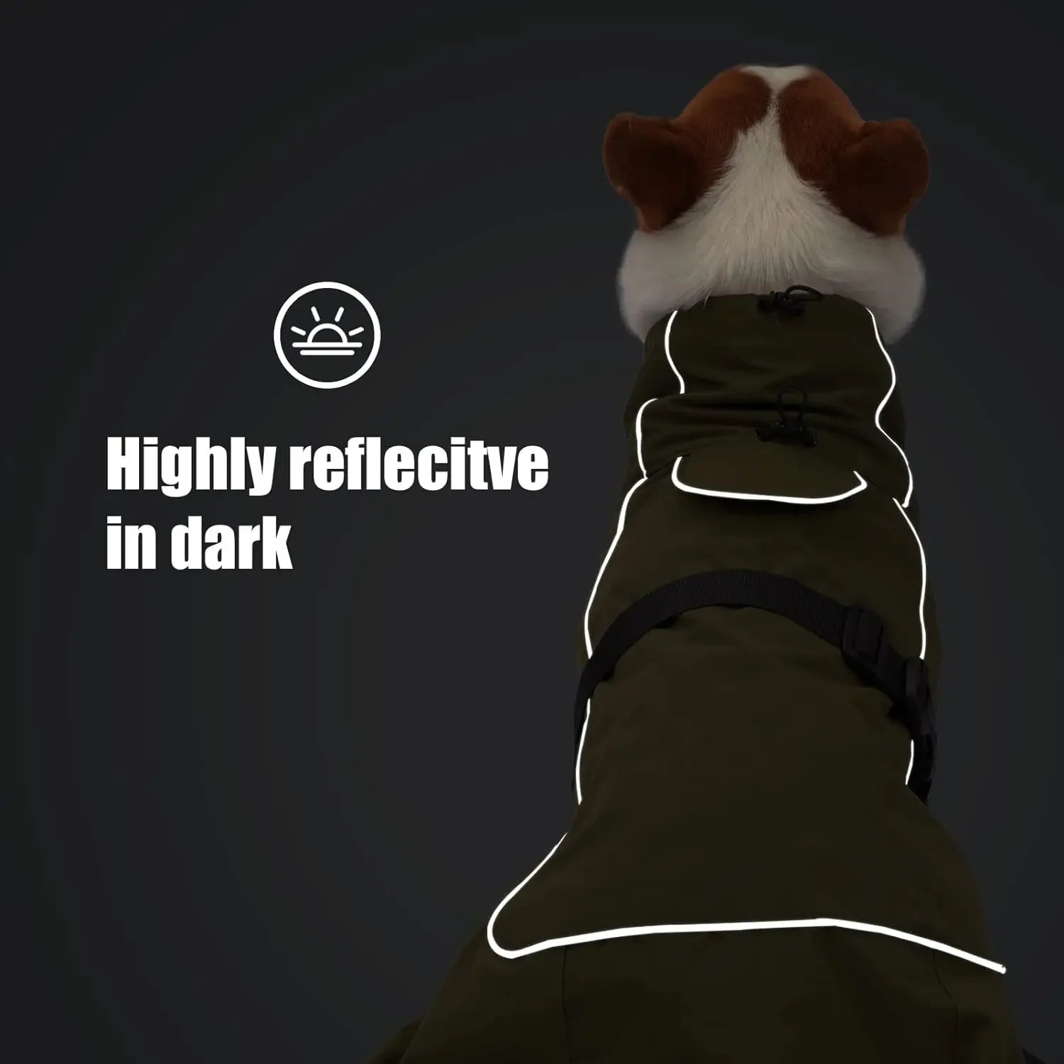 Light Fleece Lined Dog Raincoat 
