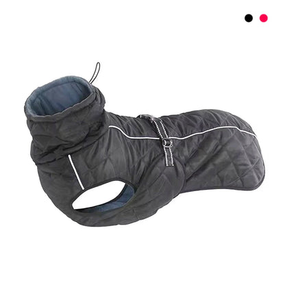 Adventure-Ready Waterproof Lined Dog Coat