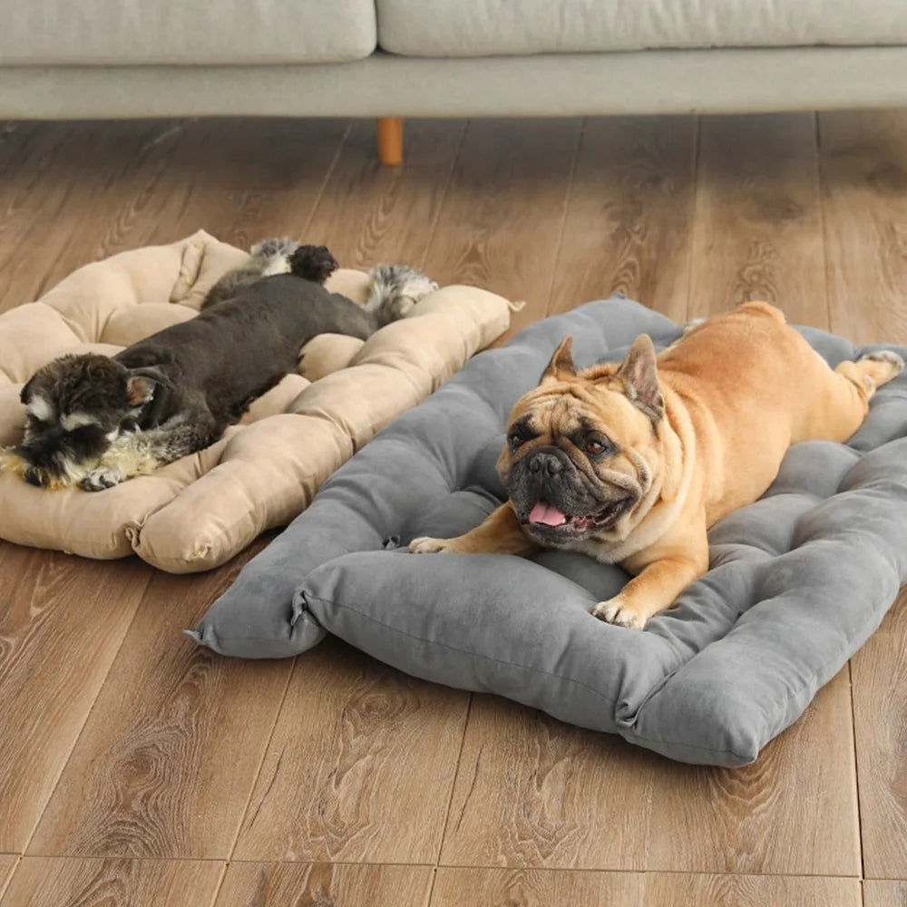 Extra Comfy Multi-Purpose Dog Car Bed and Travel Mat for Small Dogs