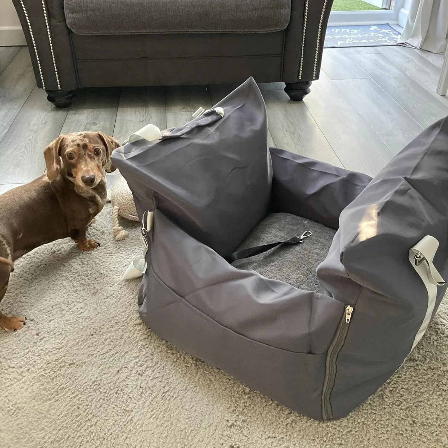 Luxury Dog Car Seat for Small Cars and Dogs