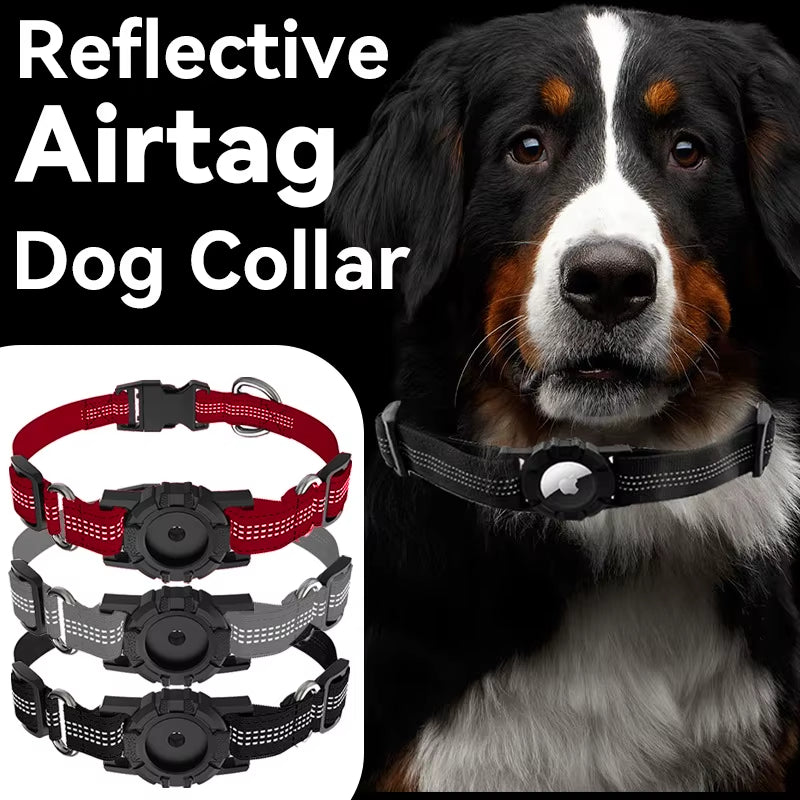 Reflective Dog Collar with Built-In Case for Airtag / GPS tracker